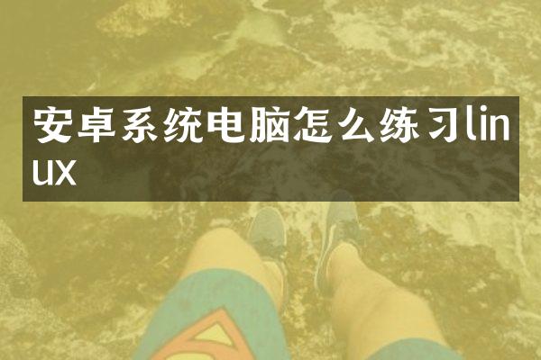 安卓系统电脑怎么练习linux