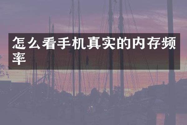 怎么看手机真实的内存频率