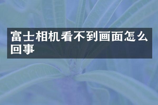 富士相机看不到画面怎么回事