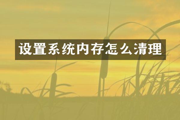 设置系统内存怎么清理