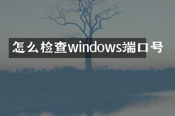怎么检查windows端口号