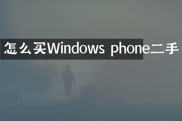 怎么买Windows phone二手
