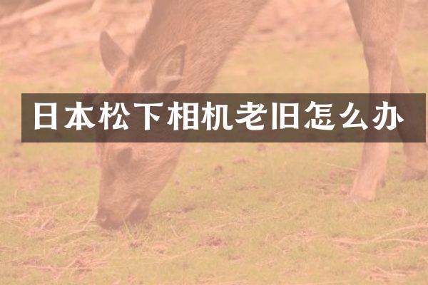 日本相机老旧怎么办