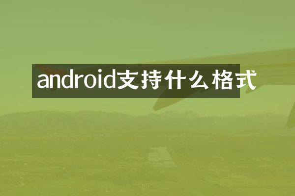 android支持什么格式