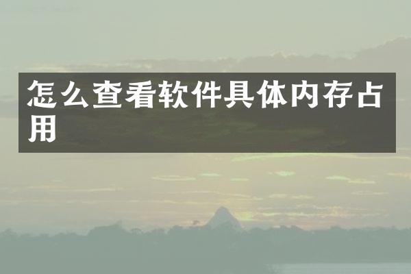 怎么查看软件具体内存占用