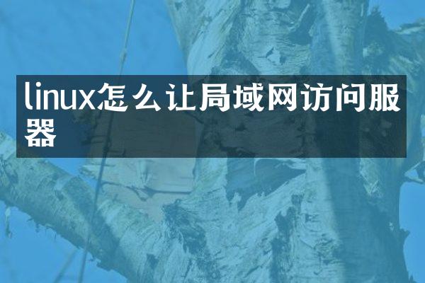 linux怎么让局域网访问服务器