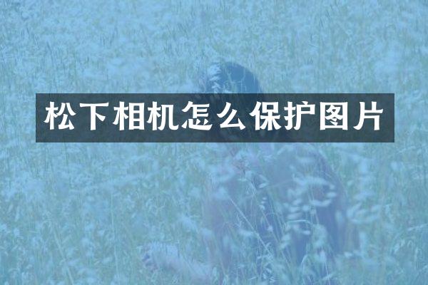 相机怎么保护图片