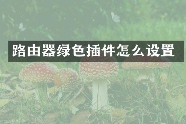 路由器绿色插件怎么设置