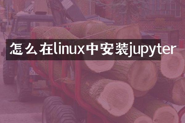 怎么在linux中安装jupyter