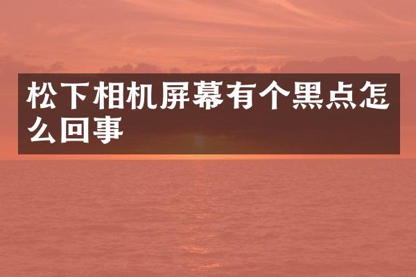 相机屏幕有个黑点怎么回事