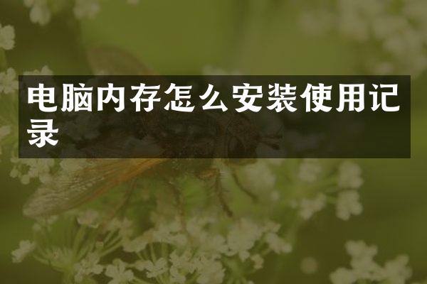 电脑内存怎么安装使用记录