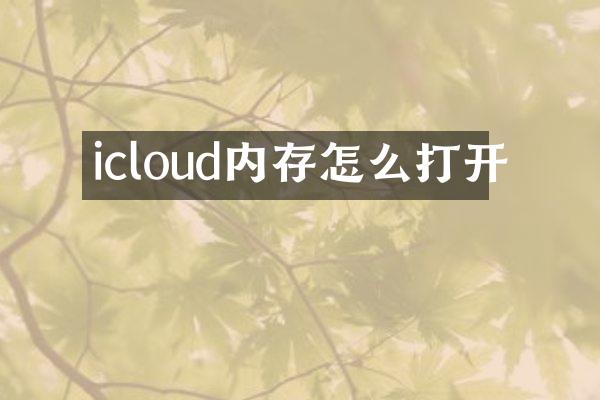 icloud内存怎么打开