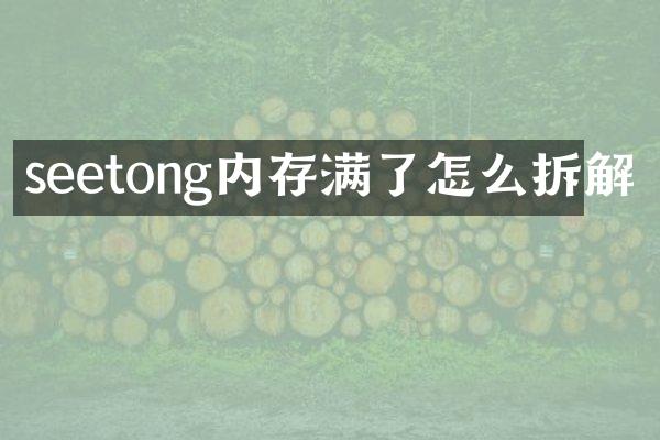 seetong内存满了怎么拆解