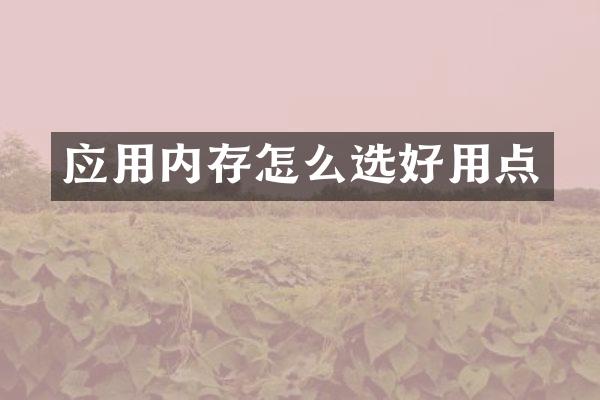 应用内存怎么选好用点