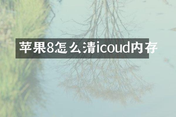 苹果8怎么清icoud内存