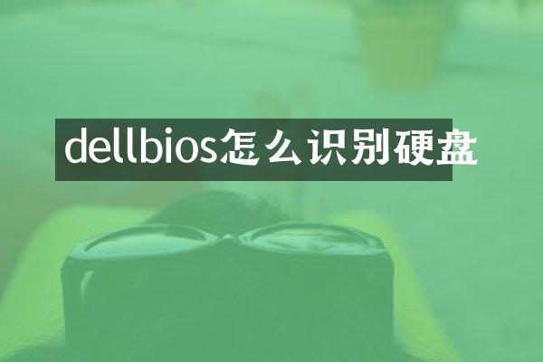 dellbios怎么识别硬盘