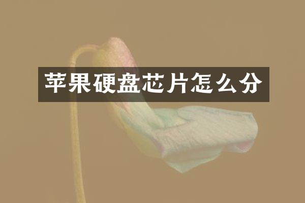 苹果硬盘芯片怎么分