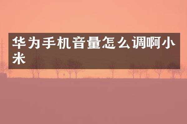 华为手机音量怎么调啊小米