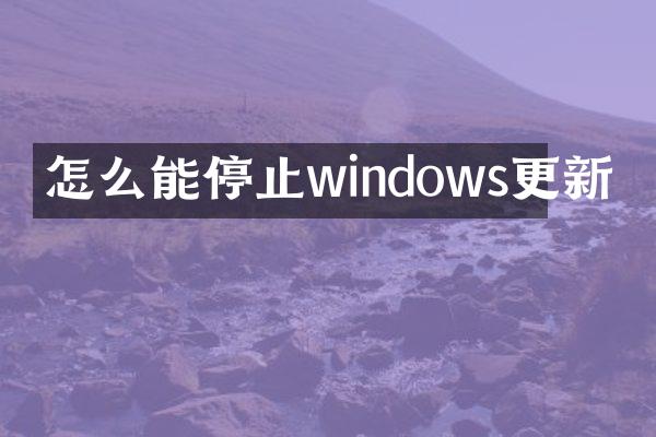 怎么能停止windows更新