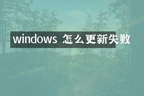 windows 怎么更新失败
