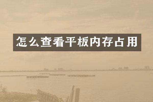 怎么查看平板内存占用