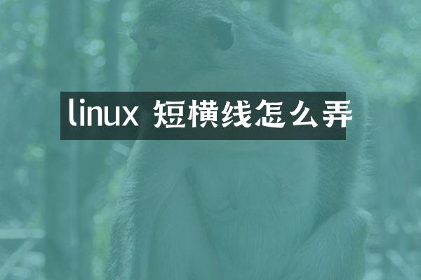 linux 短横线怎么弄