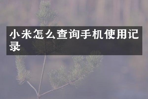 小米怎么查询手机使用记录