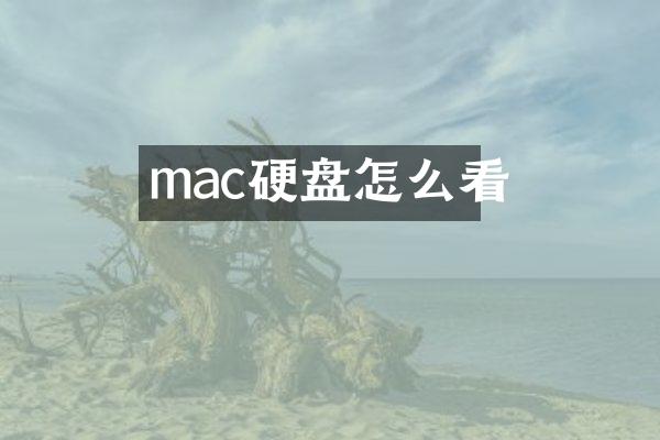 mac硬盘怎么看