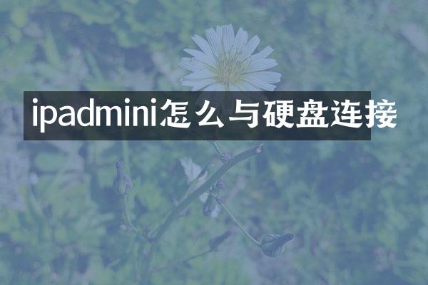 ipadmini怎么与硬盘连接
