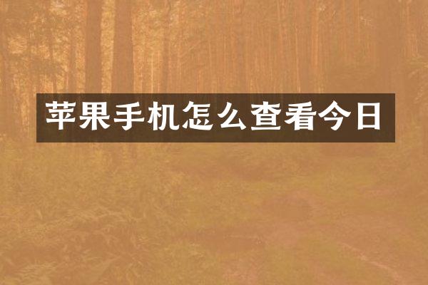 苹果手机怎么查看今日