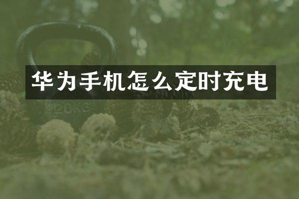 华为手机怎么定时充电