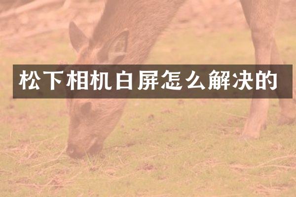 相机白屏怎么解决的