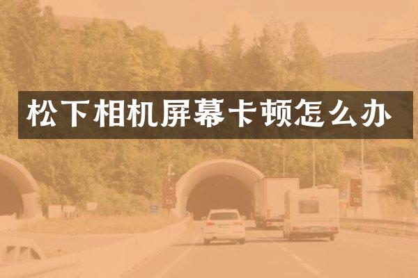 相机屏幕卡顿怎么办