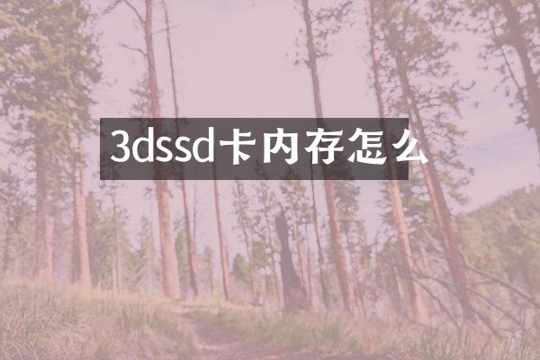 3dssd卡内存怎么