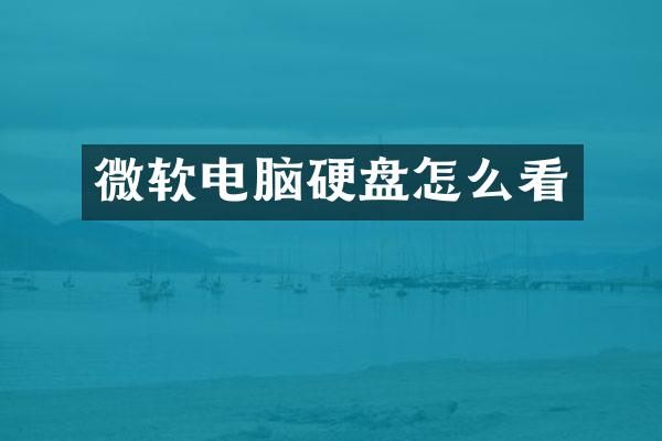 微软电脑硬盘怎么看