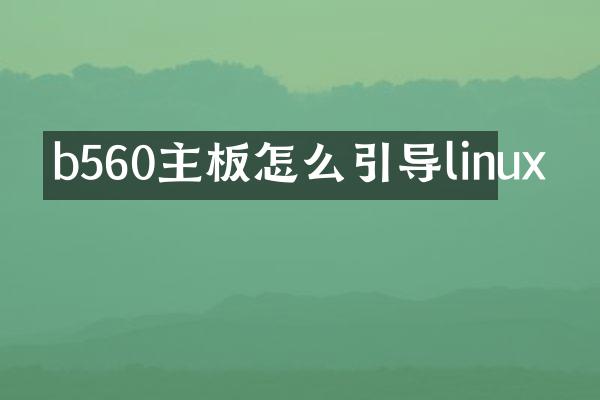b560主板怎么引导linux