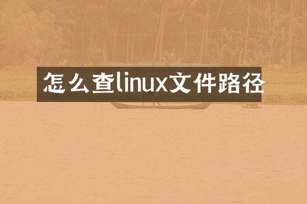 怎么查linux文件路径