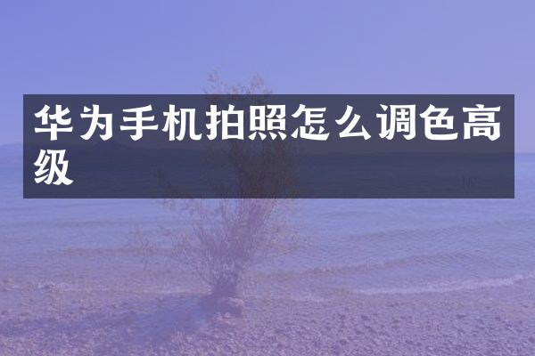 华为手机拍照怎么调色高级