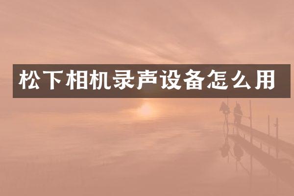 相机录声设备怎么用