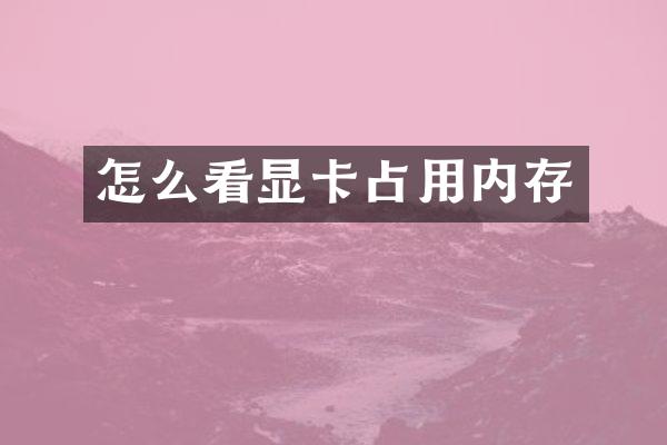 怎么看显卡占用内存