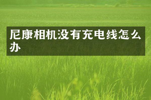 尼康相机没有充电线怎么办