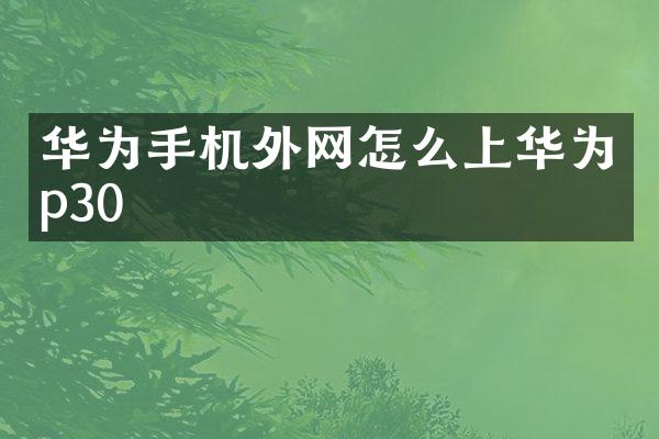 华为手机外网怎么上华为p30