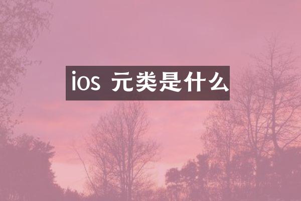 ios 元类是什么