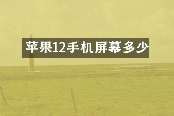 苹果12手机屏幕多少