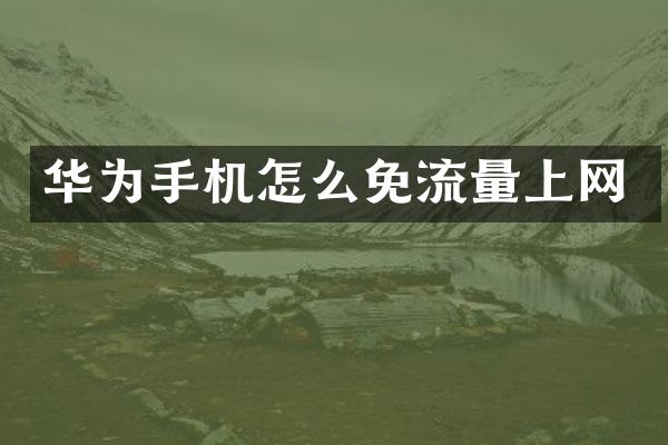 华为手机怎么免流量上网