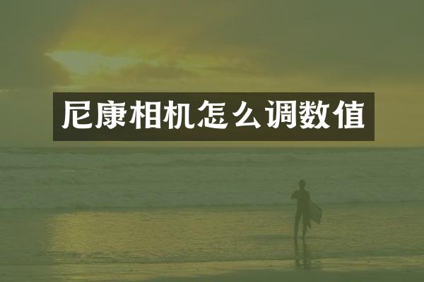 尼康相机怎么调数值