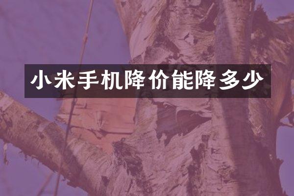 小米手机降价能降多少