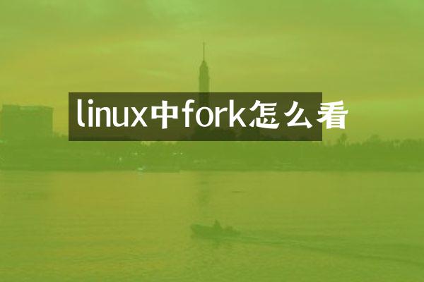 linux中fork怎么看