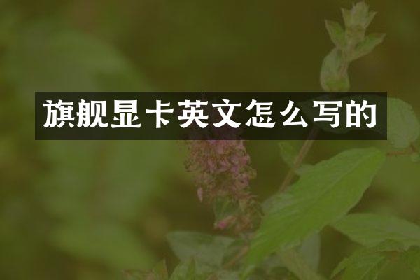 旗舰显卡英文怎么写的