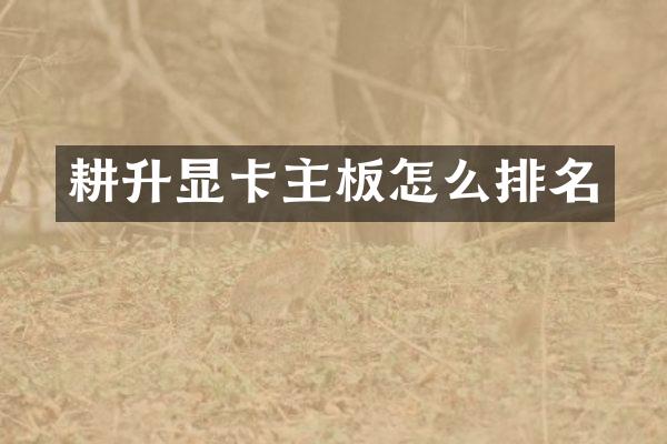 耕升显卡主板怎么排名